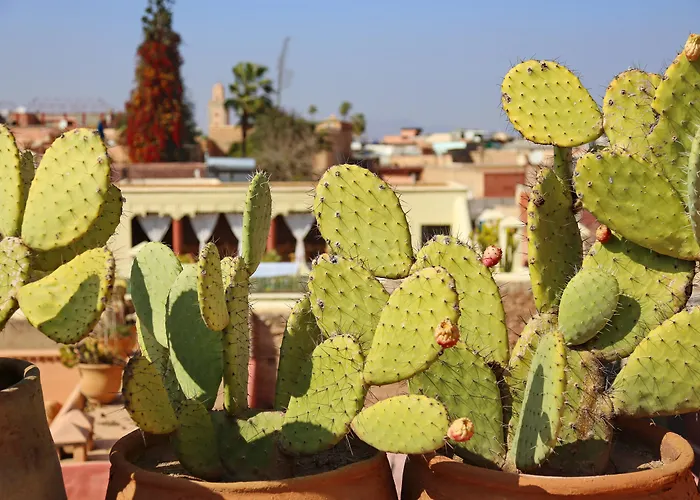 Riad Marrakiss Marrakesh